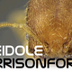 Illustration for article titled What are the very punniest scientific names?